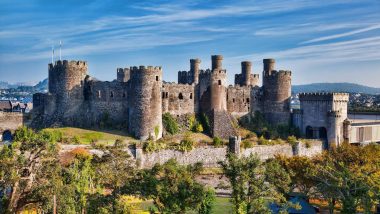 Learn Welsh Online – Level 3